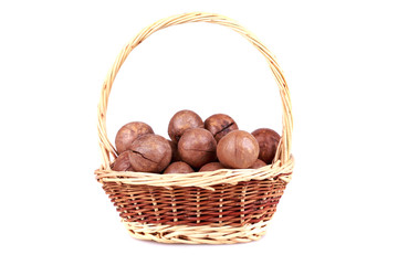 macadamia nuts