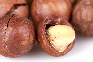 macadamia nuts