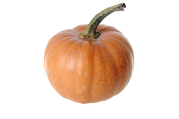 Rounded Pumpkin