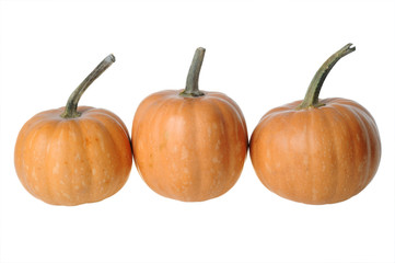 Pumpkins