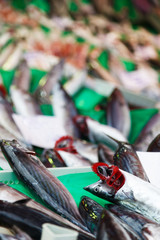 fresh fish market at the port of Istanbul