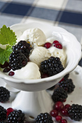 White ice cream with berries and leaf of mint  in white porcelai