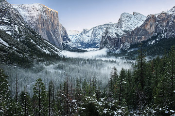Yosemite - obrazy, fototapety, plakaty