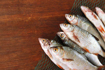 Fishes on fishing net on wooden background