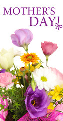 Beautiful flowers on bright background
