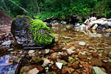 landscape on the banks of the river