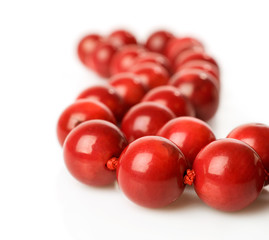 Coral beads close-up