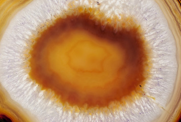 Brown agate slice close-up