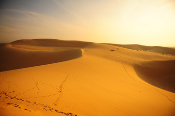 Sand Dunes in Deserts