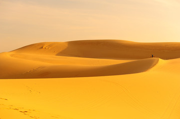 Fototapeta na wymiar Wydmy na pustyni