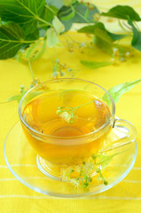 Cup of herbal tea