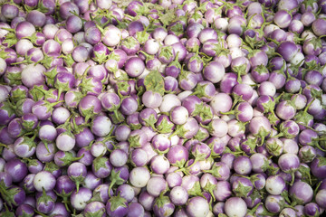 Egg plants background