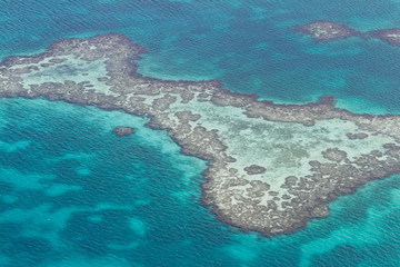Barrier reef in the Caribbean