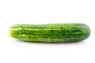 Cucumber