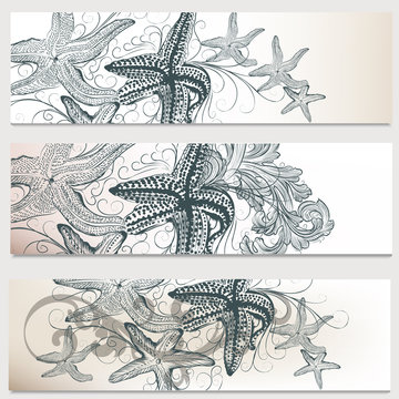 Business cards set with sea  starfishes  for design