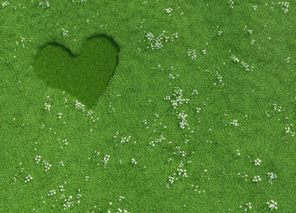 heart shape made of mowed grass and flowers