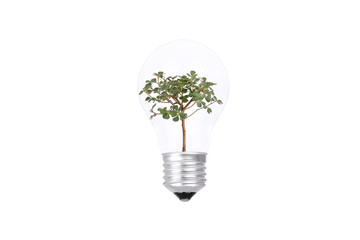 Light Bulb with a Tree Inside