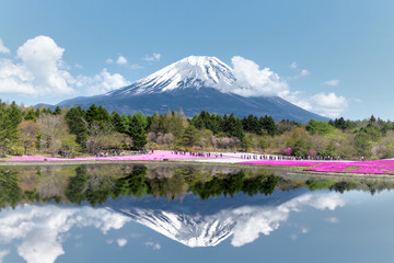 Mt. Fuji-the most famous place in Japan. - obrazy, fototapety, plakaty