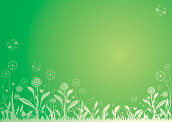 Dandelion background