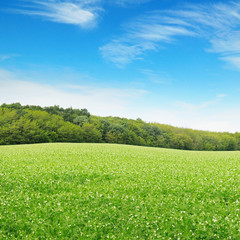 fields and  clouds