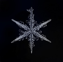 natural crystal snowflake macro