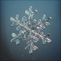 natural crystal snowflake macro