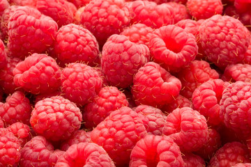 Raspberries