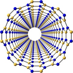 Boron nitride nanotube