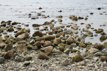 Obraz premium Piedras en el agua