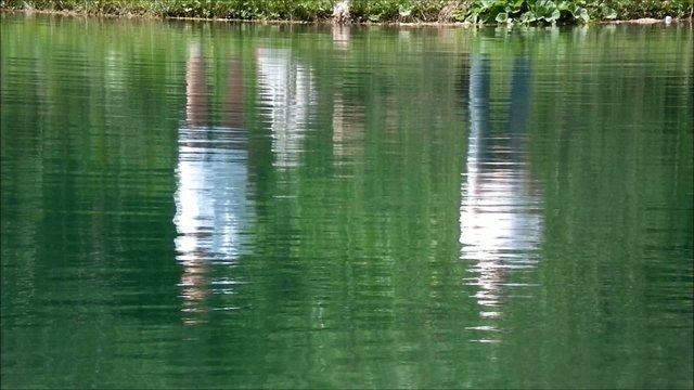 riflessi