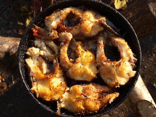 Pieces of fish on a cast iron skillet
