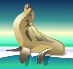 sea lion