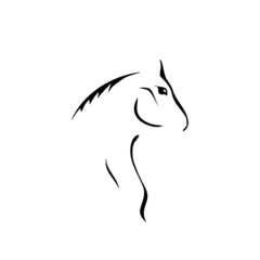 Cavalo