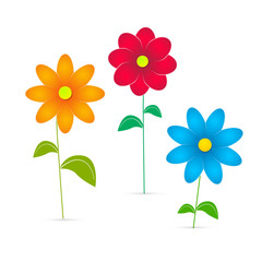 Vector Flowers Illustration Isolated on White Background