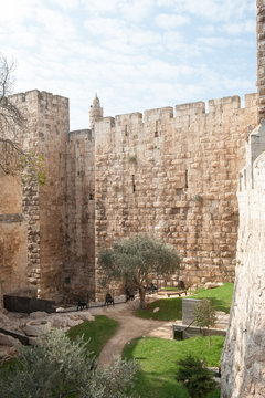 Внутренний двор у стены Иерусалима