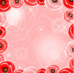 Pink backgrounds with poppies