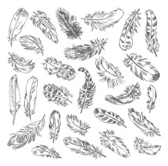 Freehand drawing quill