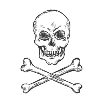 vector sketch illustration - pirate skull and crossbones