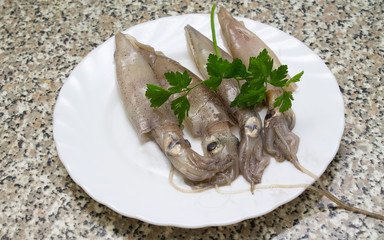 seafood isolated