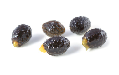 seed papaya