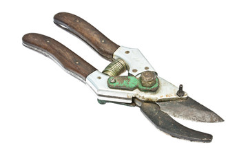 Pruning Shears