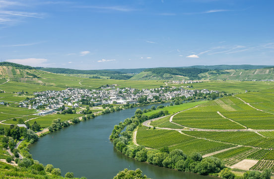 Weinort Leiwen an der Mittelmosel