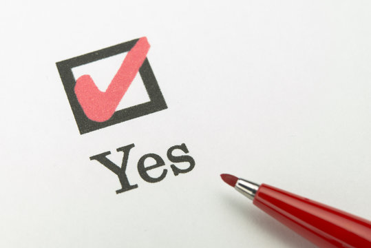 はい チェックボックス