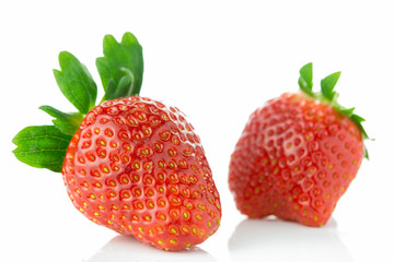 いちご　白背景