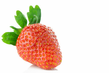 いちご　白背景