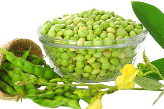 pigeon peas closeup