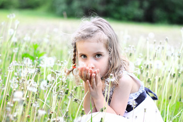 Girl blowing dandelion on a meadow