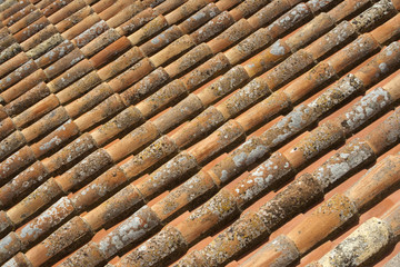 Clay Roof Tiles