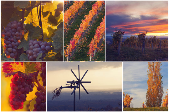 Weinland Collage II