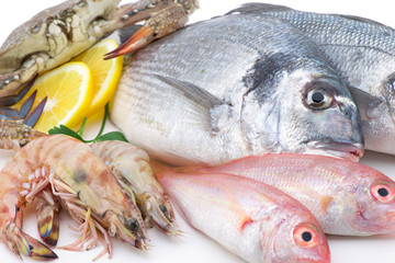 Fresh catch of fish, crab and shrimp